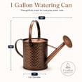 thumbnail image 2 of 1-Gallon Steel Watering Can with Removable Sprinkler Head Ideal for Indoors & Outdoors, Brown, 2 of 6