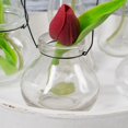 thumbnail image 4 of Richland Vintage Jar Hanging Glass Vase Set of 12, 4 of 4