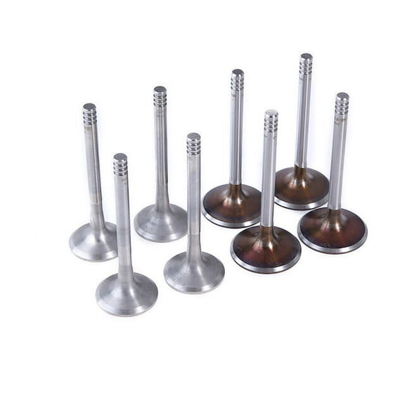 Intake Valve - Compatible with 1996 - 2005, 2011 - 2015 Volkswagen Jetta 2.0L 4-Cylinder 1997 1998 1999 2000 2001 2002 2003 2004 2012 2013 2014