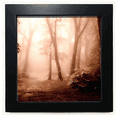 thumbnail image 1 of Cadre Photo Carré Noir Nature Paysage Nature Forêt Sombre Rouge Mur Table, 1 of 3