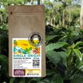 thumbnail image 3 of Guatemalan SHB San Marcos Medium Roast, 3 of 4