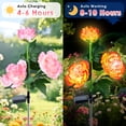 thumbnail image 5 of Oziral Solar Garden Lights Outdoor, 2 pack Waterproof LED Peony Solar Flowers Lights, Decorative Solar-Powered Stakes, Lawn Yard Patio Decor, 8 Modes, 5 of 9
