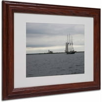 Trademark Fine Art "Breaking Boundary" Canvas Art by Monica Fleet, Wood Frame