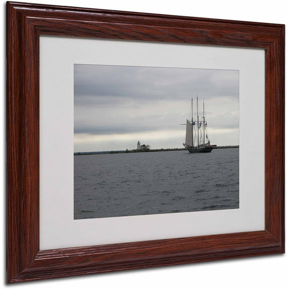 Trademark Fine Art "Breaking Boundary" Canvas Art by Monica Fleet, Wood Frame