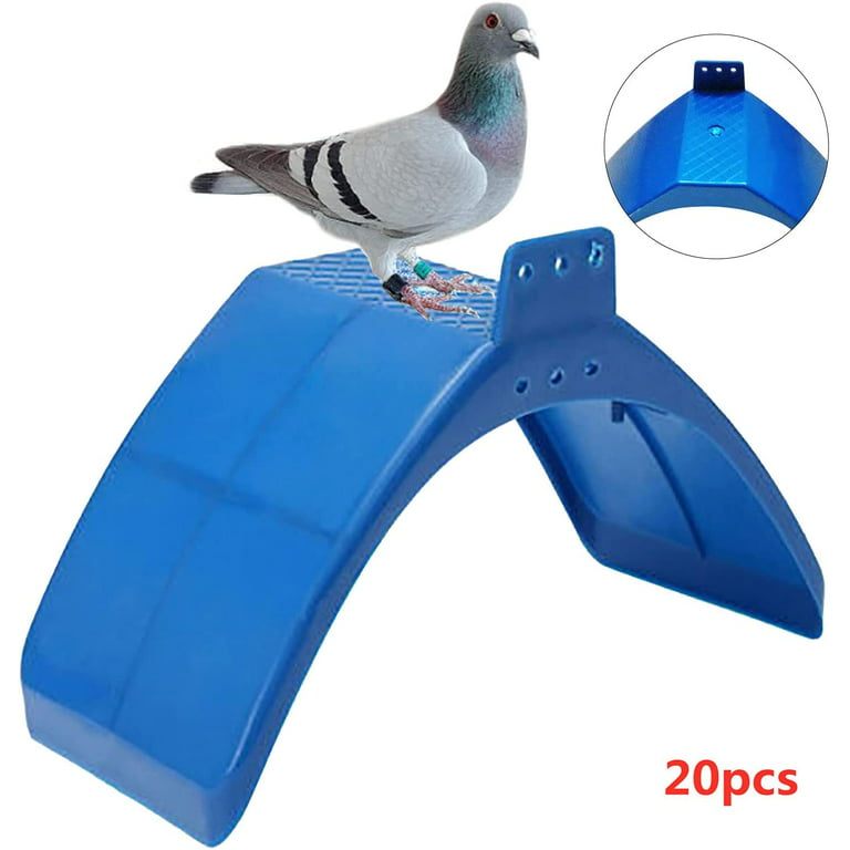 Pigeon Trap with Escape-Proof, Bird Trap Cage with One-Way Entry, Portable  Unharmful, Iron with Anti-Rust Paint,off-white 