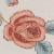 Oatmilk Rose Vine