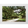 thumbnail image 3 of Alan Hausenflock 18x13 White Modern Wood Framed Wall Art Titled - Charleston Oaks IV, 3 of 5
