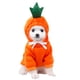 thumbnail image 2 of Fiudx Suéter para Perro, Suave Forro Polar de Algodón, Estampado Moderno, Manga Larga, Cómodo, Cálido para Invierno, Talla Xs, Ideal para Días Fríos, 30 Cm de Busto, 20 Cm de Largo., 2 of 5