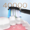 thumbnail image 4 of Cepillo de dientes eléctrico sónico Fairywill, recargable por USB, E11, resistente al agua, 8 cabezales de repuesto para adultos, 4 of 5