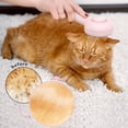 thumbnail image 3 of BEBANG 3 in 1 Cat Steam Brush, One-Click Hair Removal Brush with Steam for Cats and Dogs, 3 of 7