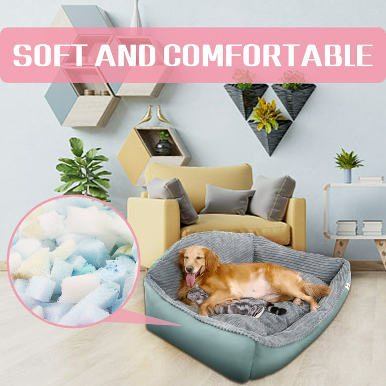 NOLITOY 1 Bean Bag Filler Couch Stuffing Fill for Cushions Sofa Cushion  Stuffing Sofa Pillows Cushion Stuffing for Sofa Mini Couch Pillow Stuffed