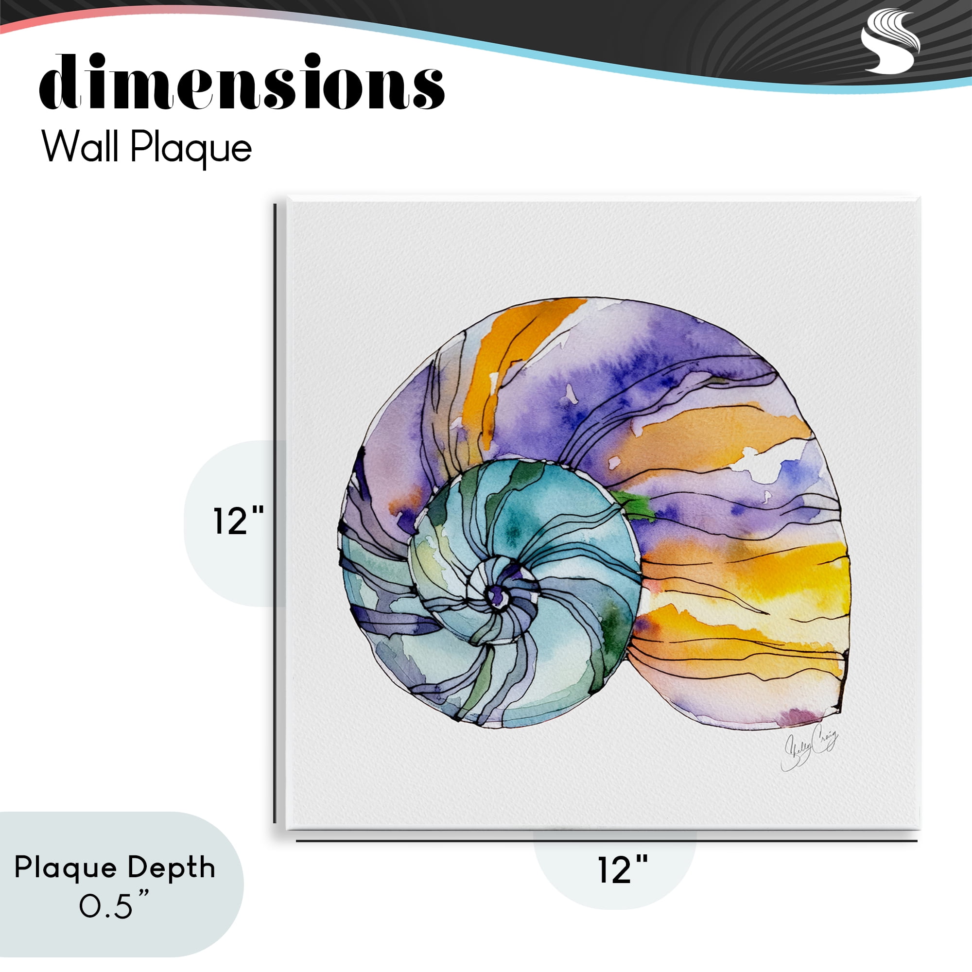 Stupell Industries Sunlit Striped Nautilus Wall Plaque Art, design by Shelly Craig
