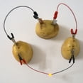 thumbnail image 4 of Gwong Juguete DIY Potato Fruit Power Battery Bio Energy Light Diodo Clock Kit Experimento Juguete Gwong 21019918, 4 of 7