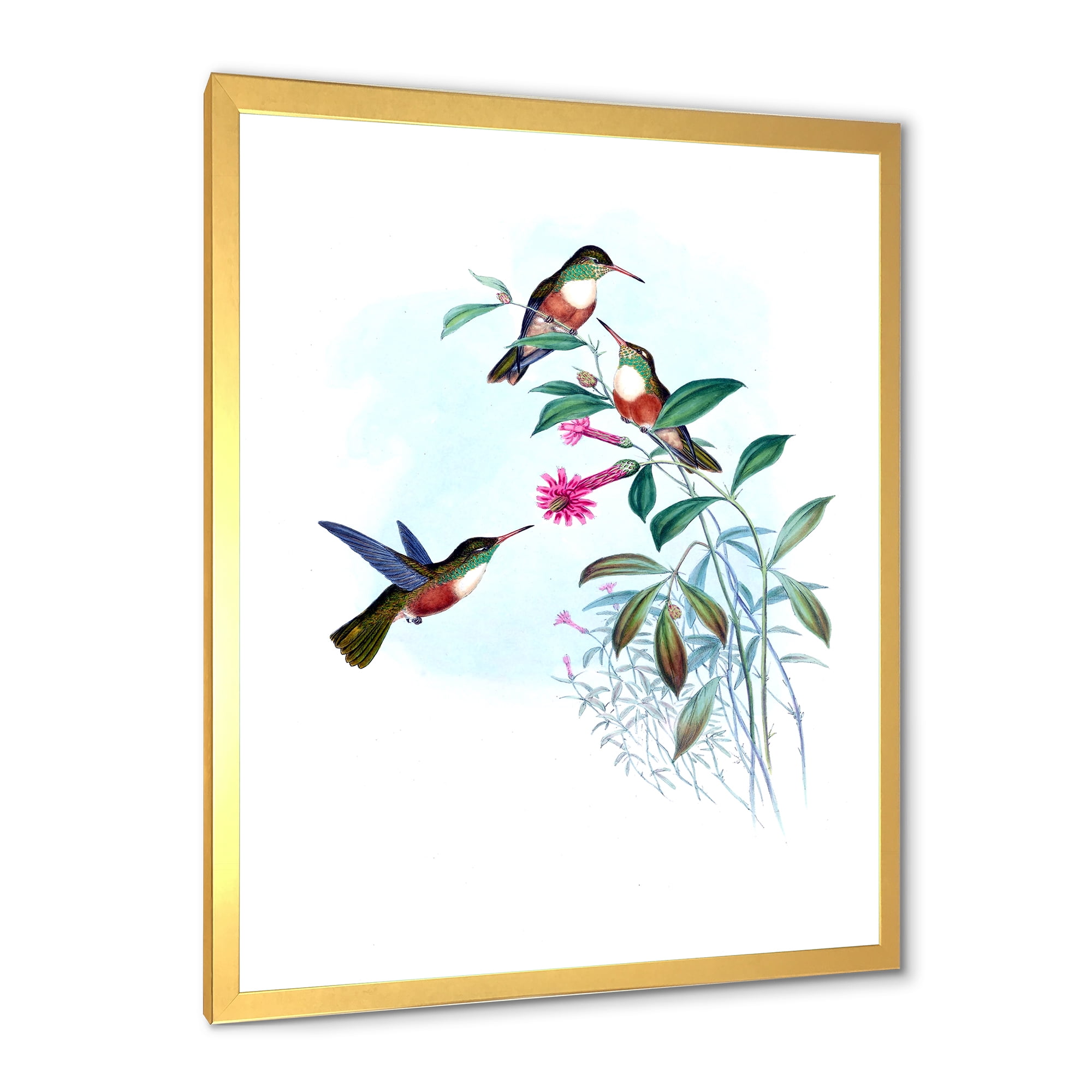 Designart 'Ancient Hummingbird IV' Traditional Framed Art Print
