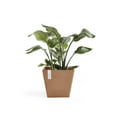 thumbnail image 4 of Ecopots Rotterdam Durable Modern Square Indoor/Outdoor Recycled Based Composite Flower Planter, Terracotta Color, 12", 4 of 4
