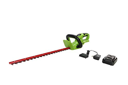 GreenWorks 22232 G-24 22-inch Cordless Hedge Trimmer 2ah Battery 