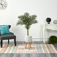 thumbnail image 3 of Nearly Natural 4.5' Golden Cane Artificial Palm Tree in White Planter with Stand, 3 of 4