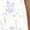 White, variant on Jachs Women's Girlfriend Printed Chino Shorts, White, Small