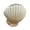 1, variant on Delicate Handcrafted Shell Shape Resin Pots Planter Perfect For Indoor Plant And Adds A Coastal Touch To Home Decors