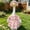 Pink 3, variant on AuroraX Porch Goose Summer Outfit 17-19 In Lemon Lace Dress Bonnet Porch Goose Clothes Set 23" Holiday Front Porch Goose 23 inch Clothing Lawn Garden Decor
