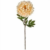 12 Pack: Cream Peony Stem by Ashland