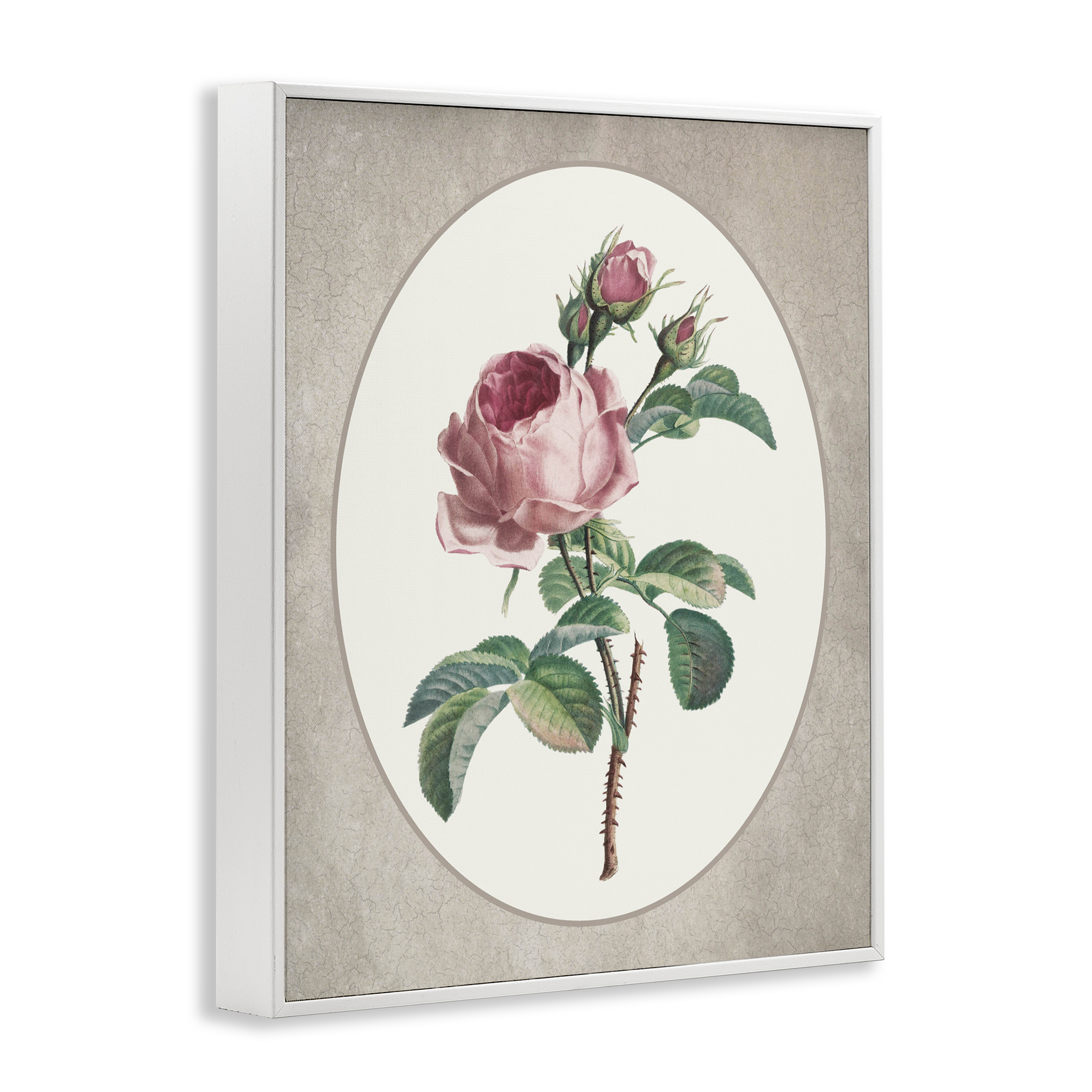 Vintage Rose within Oval White Framed Giclee Art, design by Lettered and Lined