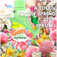 thumbnail image 6 of Gain Liquid Fabric Softener, Spring Daydream, 51 fl oz 60 loads, 6 of 6