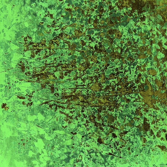 Ahgly Company Indoor Square Oriental Green Industrial Area Rugs, 5' Square