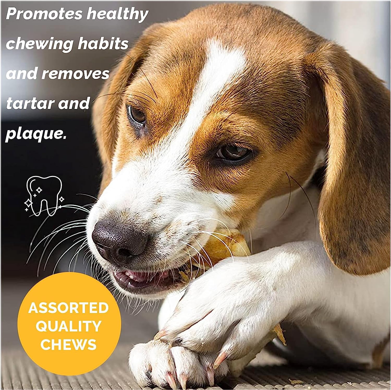 Premium Assorted Dog Chews - 1 Pound  Delicious Natural Chews for Dogs - Mix dog snacks from 123 Treats