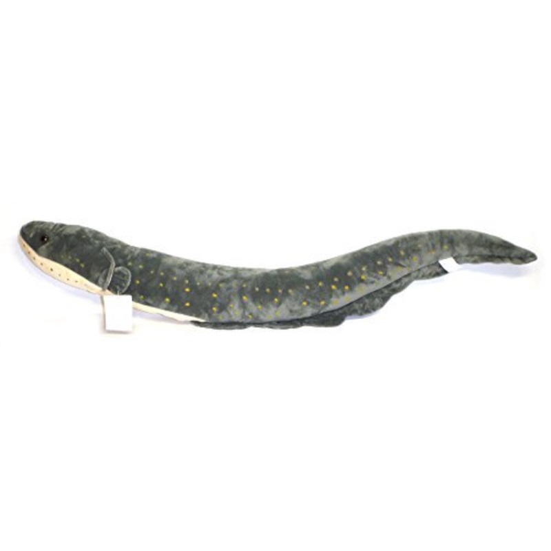 eel stuffed animal