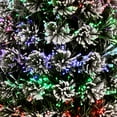 thumbnail image 3 of National Tree Company 4 ft. Fiber Optic Evergreen Flocked Tree, 3 of 3