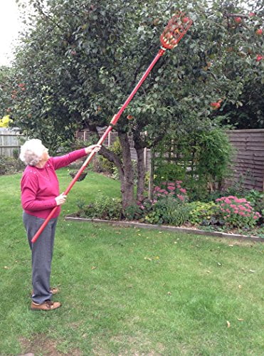 (x2) Two Professional Metal Fruit Pickers with Long Telescoping 8ft