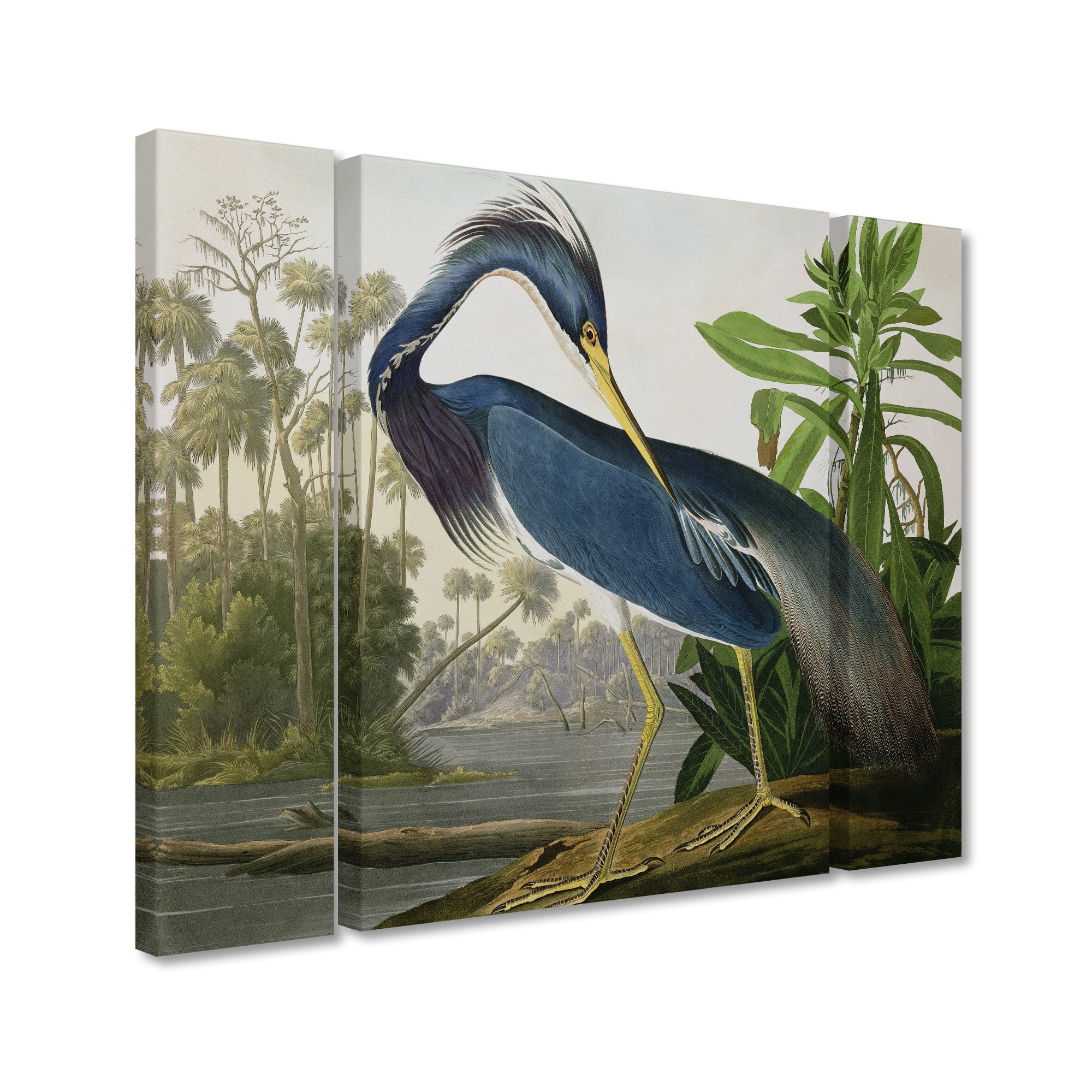 Trademark Fine Art "Louisiana Heron" Canvas Art by John James Audubon Three Panel Set