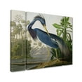 thumbnail image 3 of Trademark Fine Art "Louisiana Heron" Canvas Art by John James Audubon Three Panel Set, 3 of 4