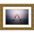 thumbnail image 1 of Jubic, Srecko 14x11 Gold Ornate Wood Framed with Double Matting Museum Art Print Titled - Alone in the silence, 1 of 4