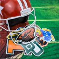 thumbnail image 4 of Paquete de 70 stickers deportivos impermeables Avistand, 4 of 6