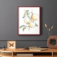 thumbnail image 6 of Watercolor Fruit Contour II Framed Print in Red Solid Wood 8 x 10 Framed Print, 6 of 6