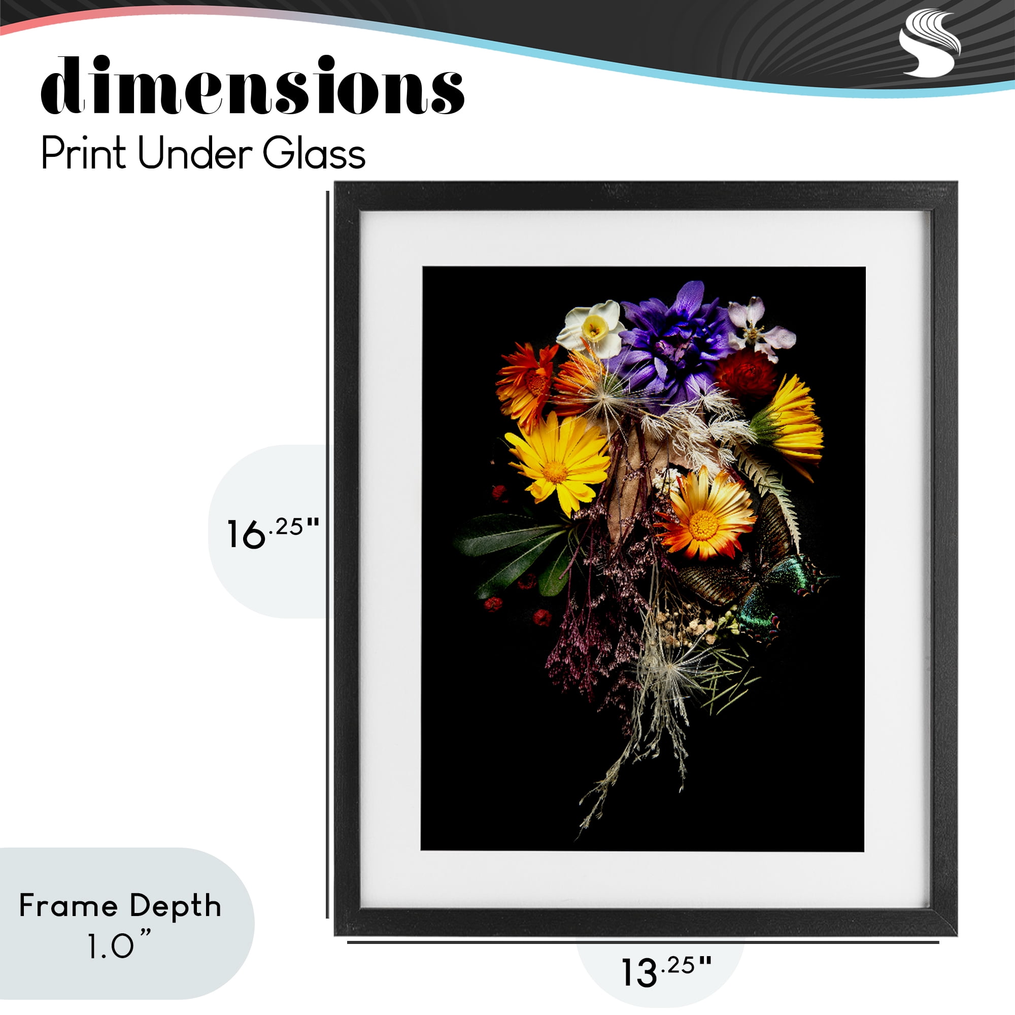 Stupell Industries Butterfly Adorned Arrangement Black Framed Print Under Glass, design by Carl Kravats