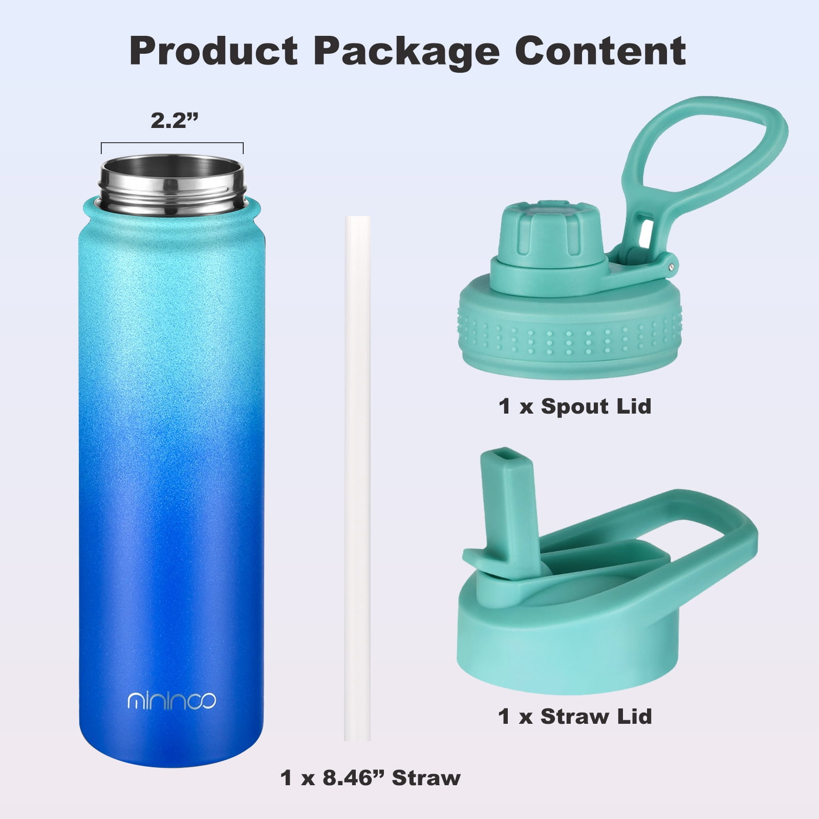 Mininoo 24 oz Insulated Stainless Steel Water Bottle with Straw Lid, Pacific Dream