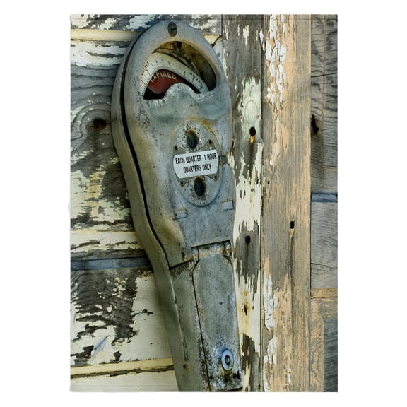 3dRose, Antique parking meter, Palm Beach, Florida - US10 AJE0226 - Adam Jones, 22x30 Bath Hand Pool Towel