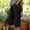 Black, variant on Cropped Pants for Women,Casual Pants for Women High Waisted Slacks Trousers Long Pants for Women Tall Relax Fit Trouser Wide Leg Pants With Pockets Work Pants Women Black L