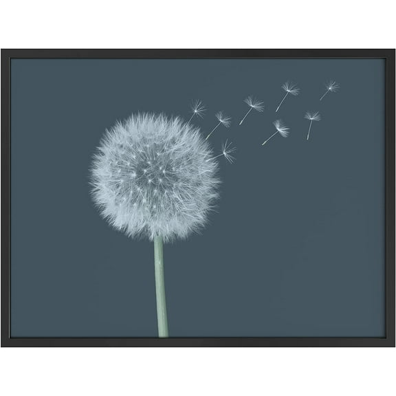PixonSign Framed Wall Art Print White Dandelion with Florets in the Wind Botanical Plants Photography Realism Modern CloseUp Relax/Calm Blue Cool for Living Room, Bedroom, Office - 12"x16" BLACK