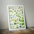 thumbnail image 4 of Minnesota Wildflowers Poster - Native Woodland Blooms - Educational Science Chart of Minnesota Flowers, 4 of 5