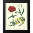 thumbnail image 2 of Edwards, Sydenham 15x18 Black Modern Framed Museum Art Print Titled - Gardeners Delight VIII, 2 of 5
