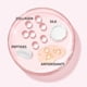 thumbnail image 4 of Blush IT Cosmetics Bye Bye Pores Sweet Cheeks, 5,4 ml, 4 of 4