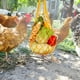 thumbnail image 3 of Bolsa de verduras para pollo, soporte para bocadillos con ganchos, brochetas para ensalada para gallina de ganso grande amarillo, 3 of 8
