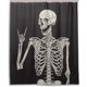 thumbnail image 1 of Rock and Roll Skull Skeleton Bone Love Music Rideau de douche 60 W x 72 H pulgadas Poliéster impermeable, 1 of 3