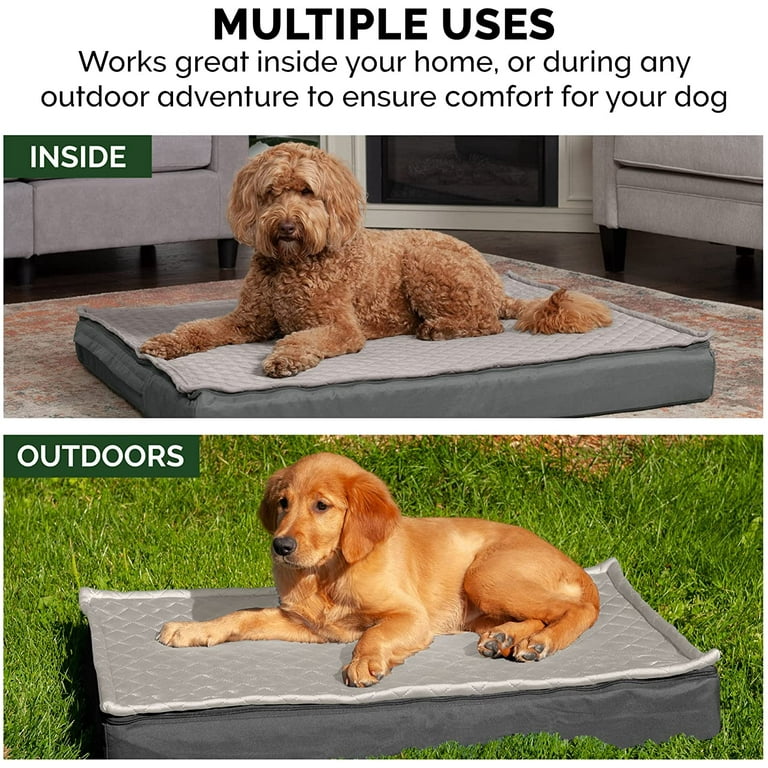 Top 10 top dog products