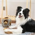 thumbnail image 6 of Laifug Hidden Squirrel Plush Dog Toy Interactive Squeaky Dog Toy Hide and Seek, L L Squirrel, 6 of 6