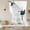 Gray-1, variant on Dogs Showering Balloon Curtains for Windows, Bedroom Curtains 54 Inch Length, Modern Abstract Art Funny Animals Tie Up Curtains Panels Thermal Insulated Bathroom Curtains Window 42"x54"